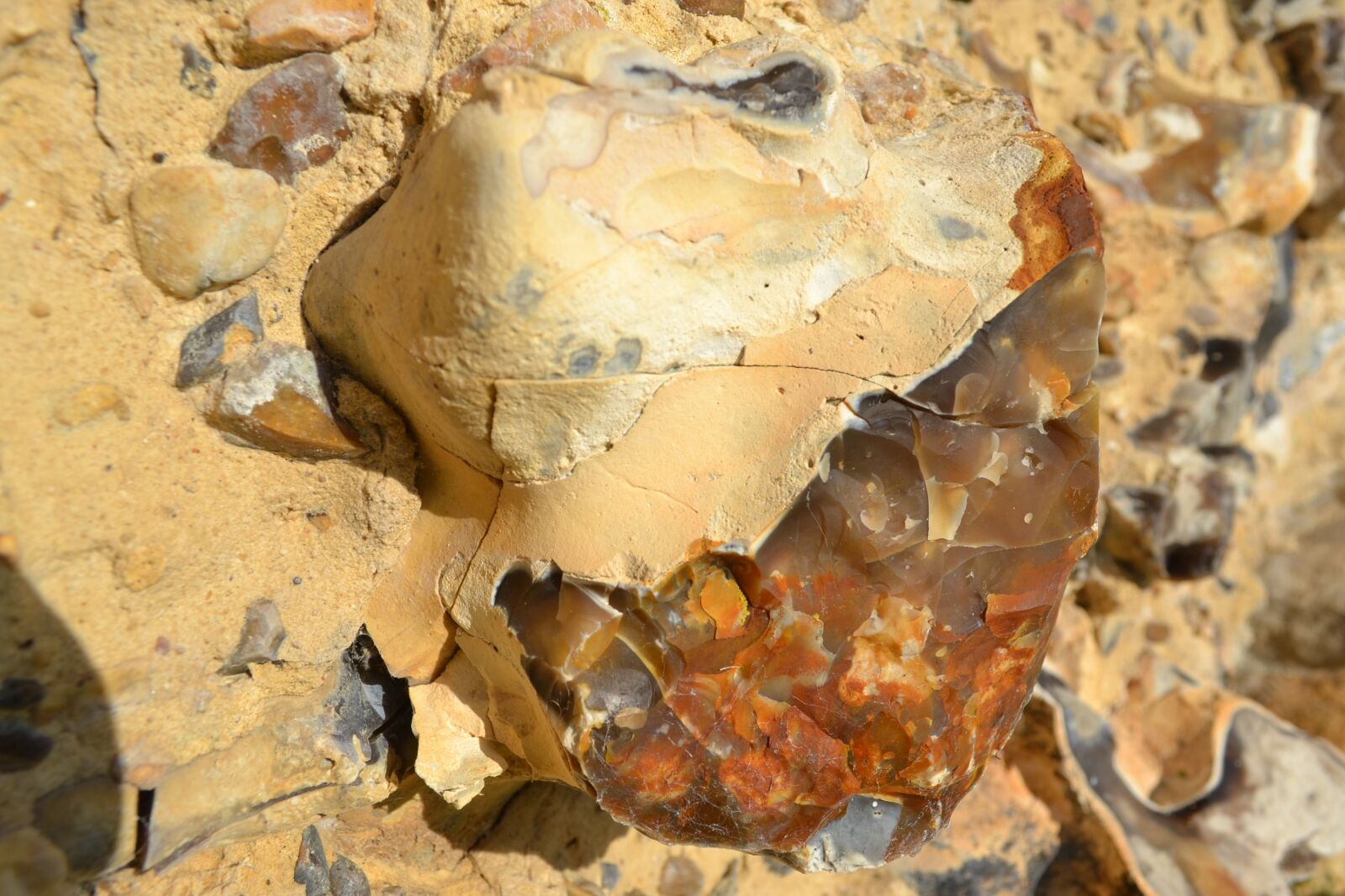 Nikon D3100 sample photo. Flintstone, flint, stone photography