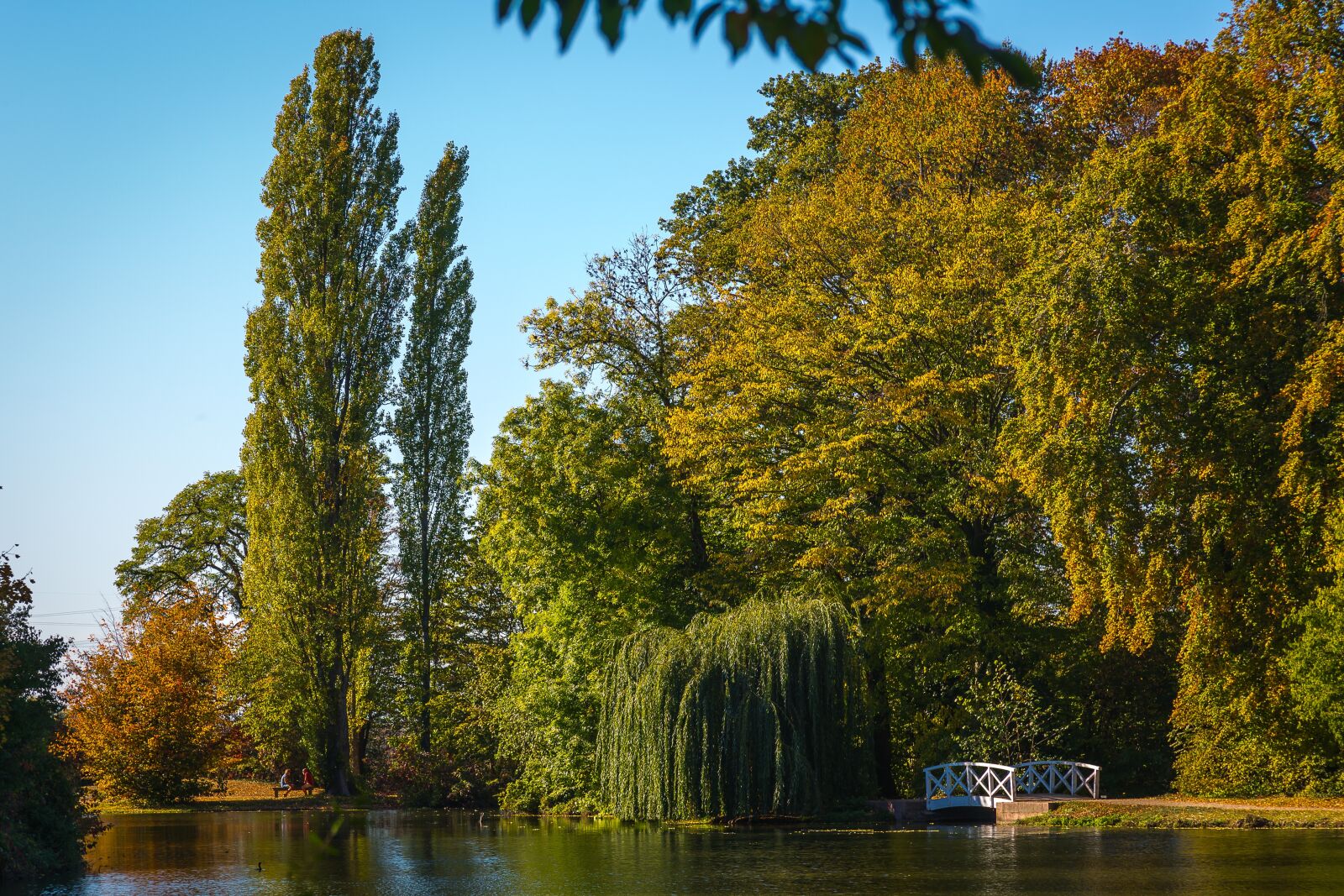 Canon EF 24-105mm F4L IS USM sample photo. Schwetzingen, schlossgarten, castle park photography