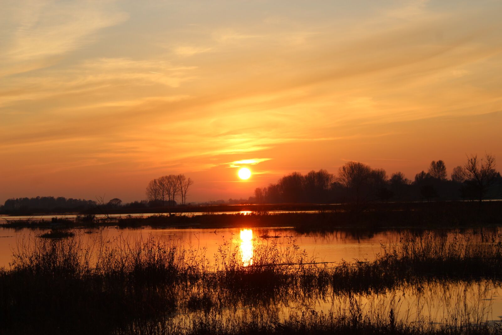 Canon EOS 1300D (EOS Rebel T6 / EOS Kiss X80) sample photo. Sunset, the dawn family photography