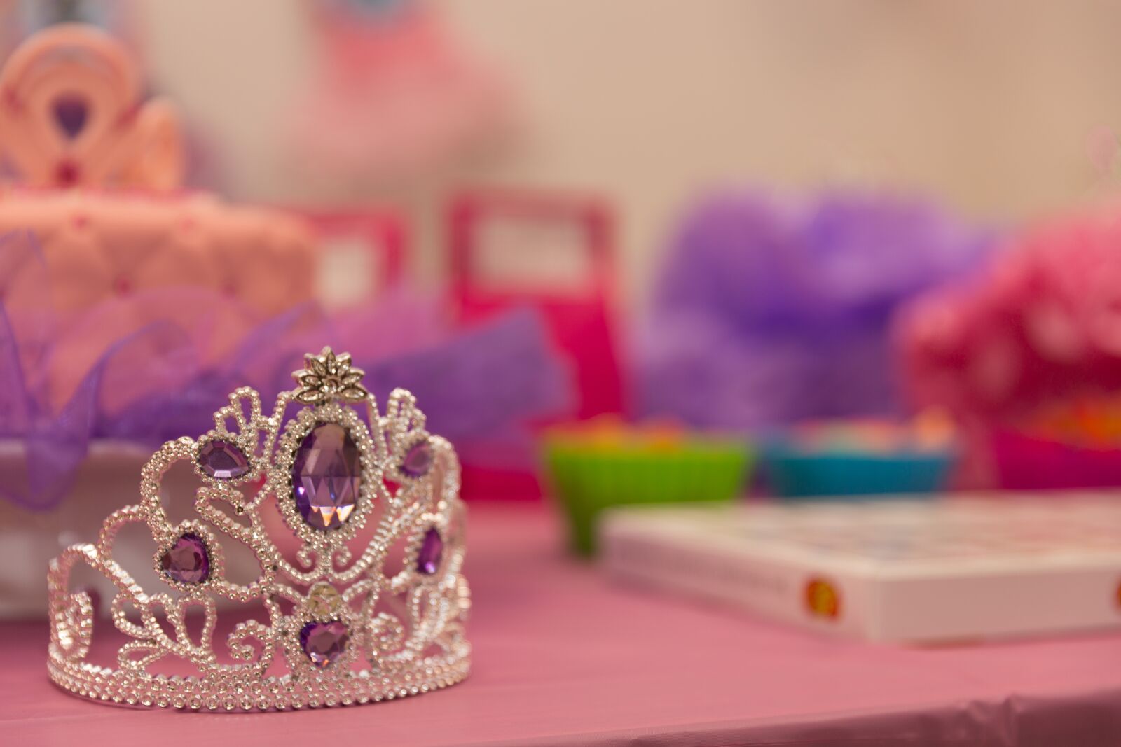 Canon EF 24-70mm F2.8L II USM sample photo. Crown, birthday, celebration photography