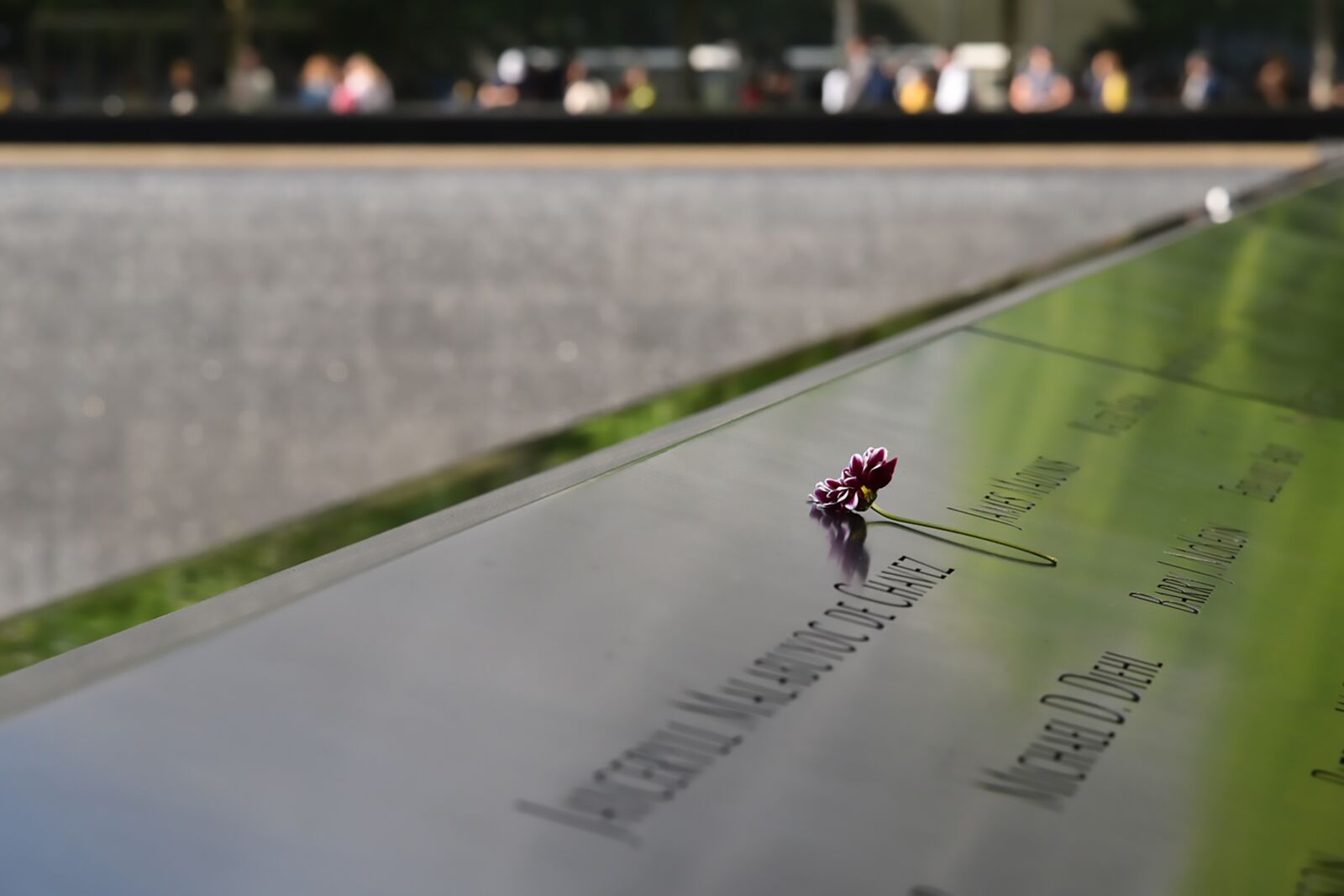 Nikon D750 sample photo. World trade center, flower photography