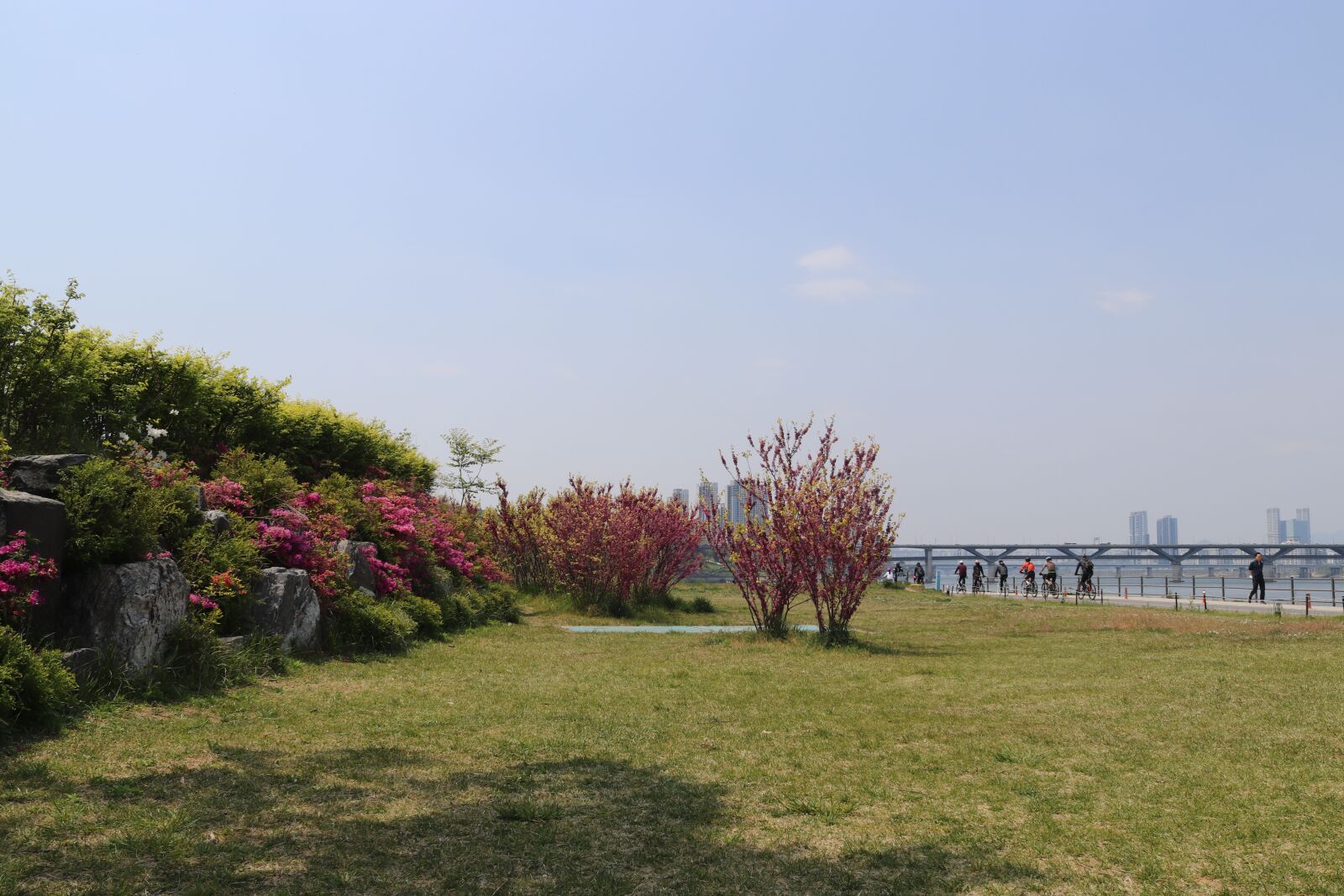 Canon EOS 800D (EOS Rebel T7i / EOS Kiss X9i) sample photo. 서울, 한강, 하늘 photography