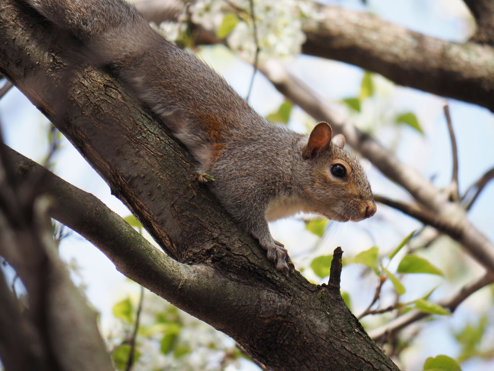 Olympus OM-D E-M1 sample photo