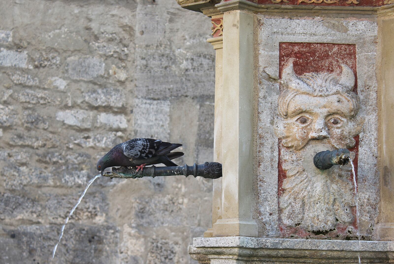 Canon EOS 600D (Rebel EOS T3i / EOS Kiss X5) sample photo. Dove, thirst, fountain photography