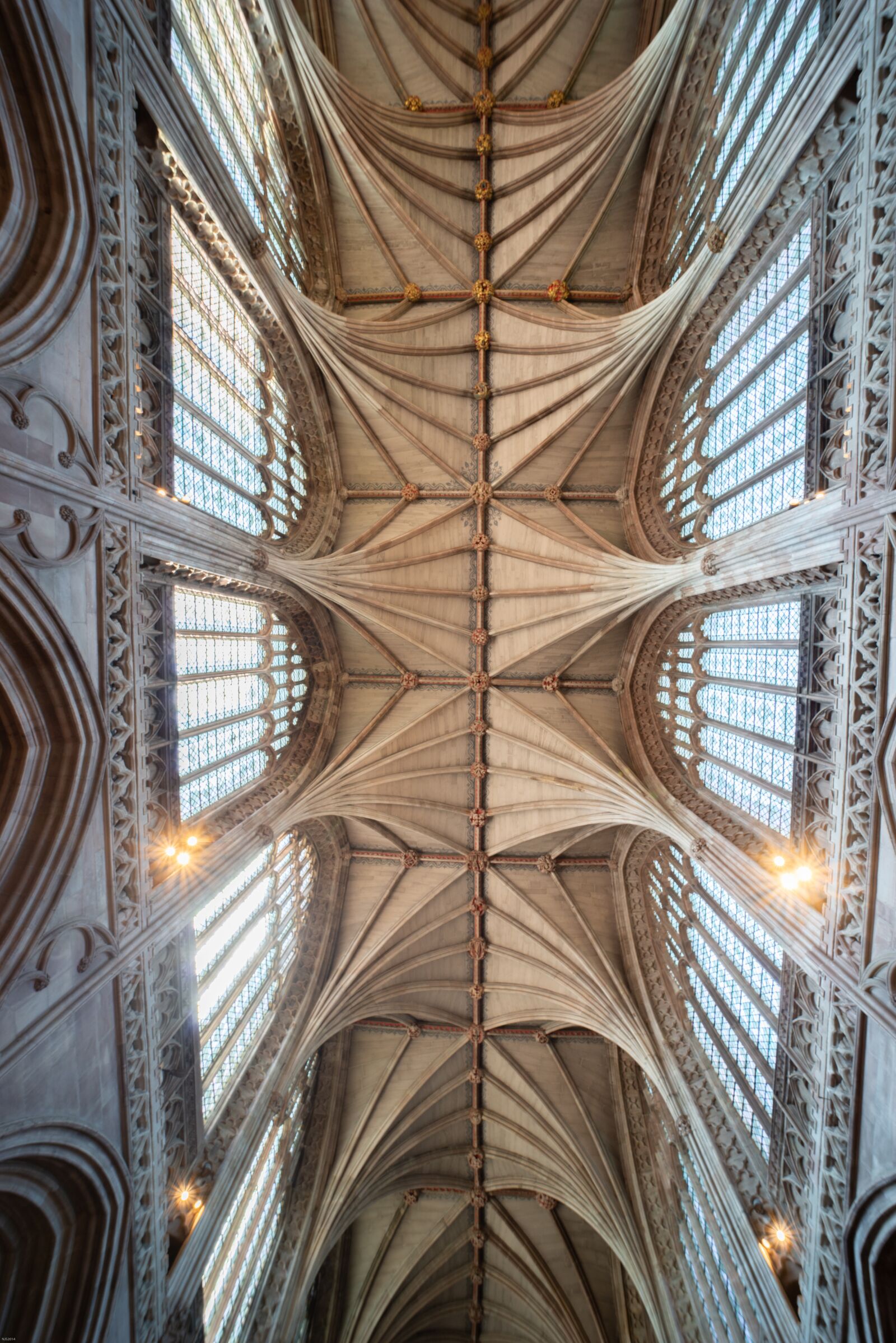 Nikon D800 sample photo. Lichfield, cathedral, ceiling photography