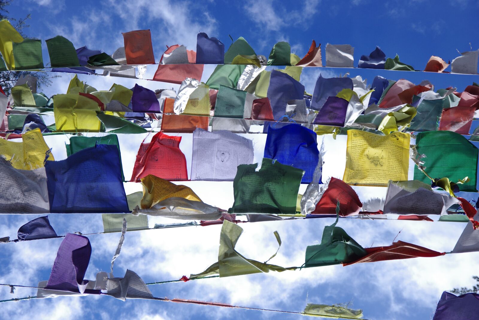 Pentax K-5 sample photo. Flags, tibetan flags, colours photography