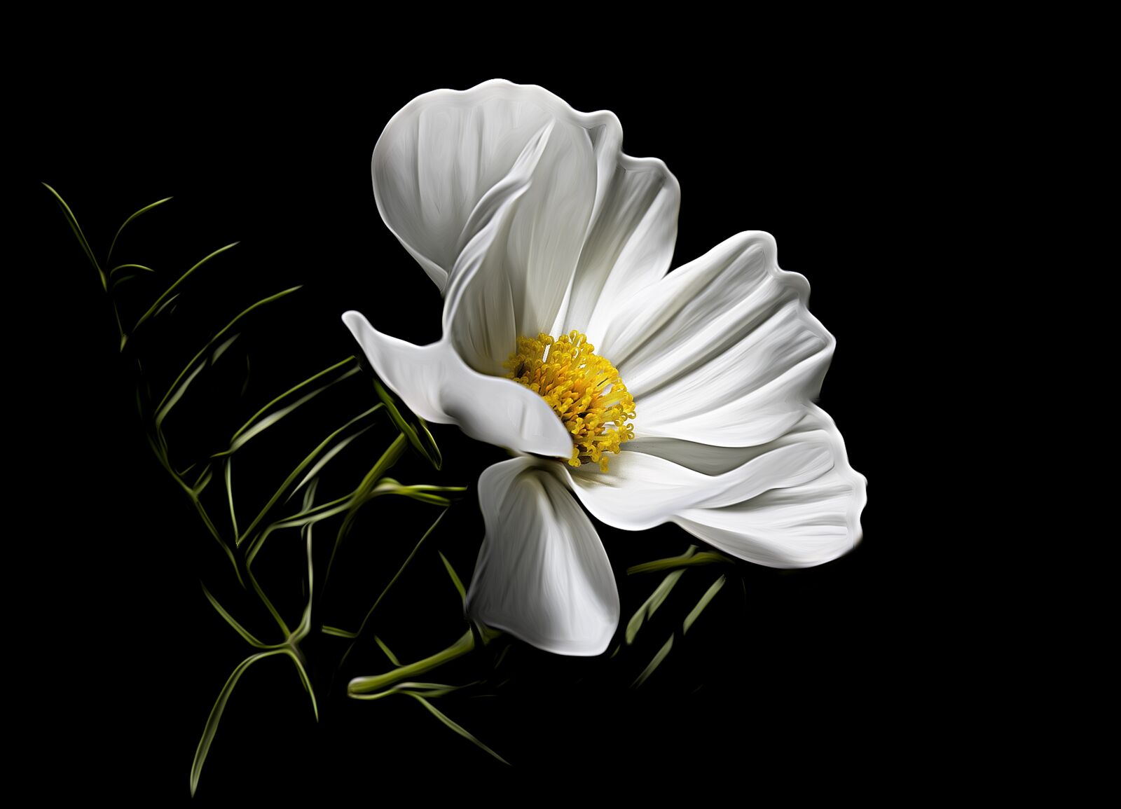 Canon EF 100mm F2.8L Macro IS USM sample photo. Flower, white, bloom photography