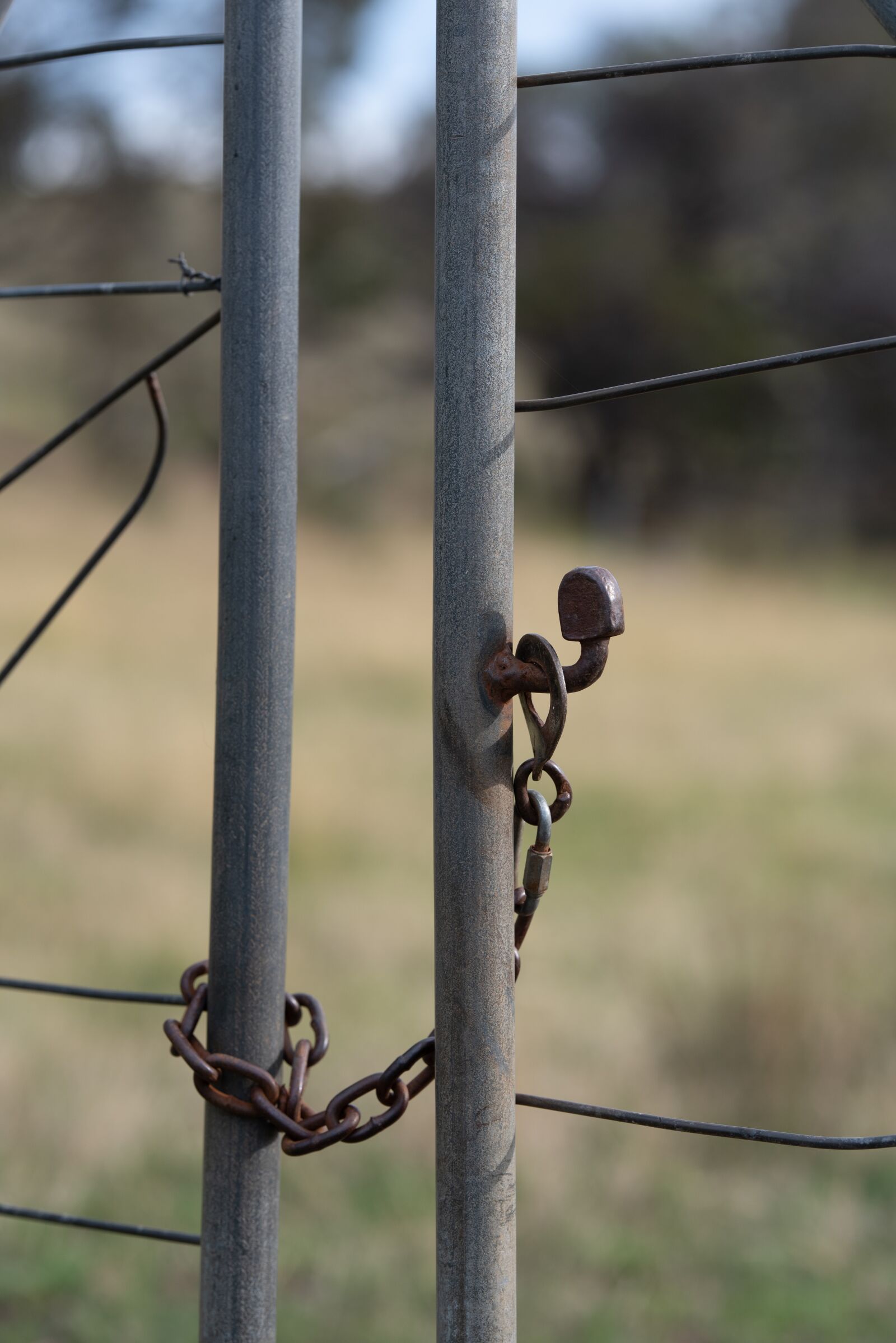 Nikon D750 sample photo. Gate, chain, latch photography
