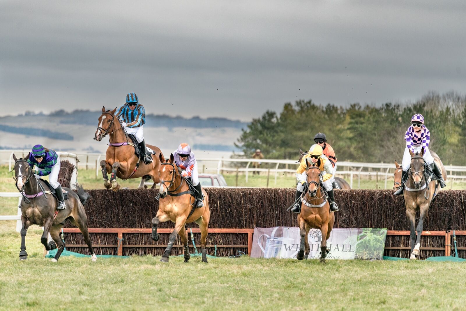 Sony FE 70-300mm F4.5-5.6 G OSS sample photo. Horse, race, equestrian photography