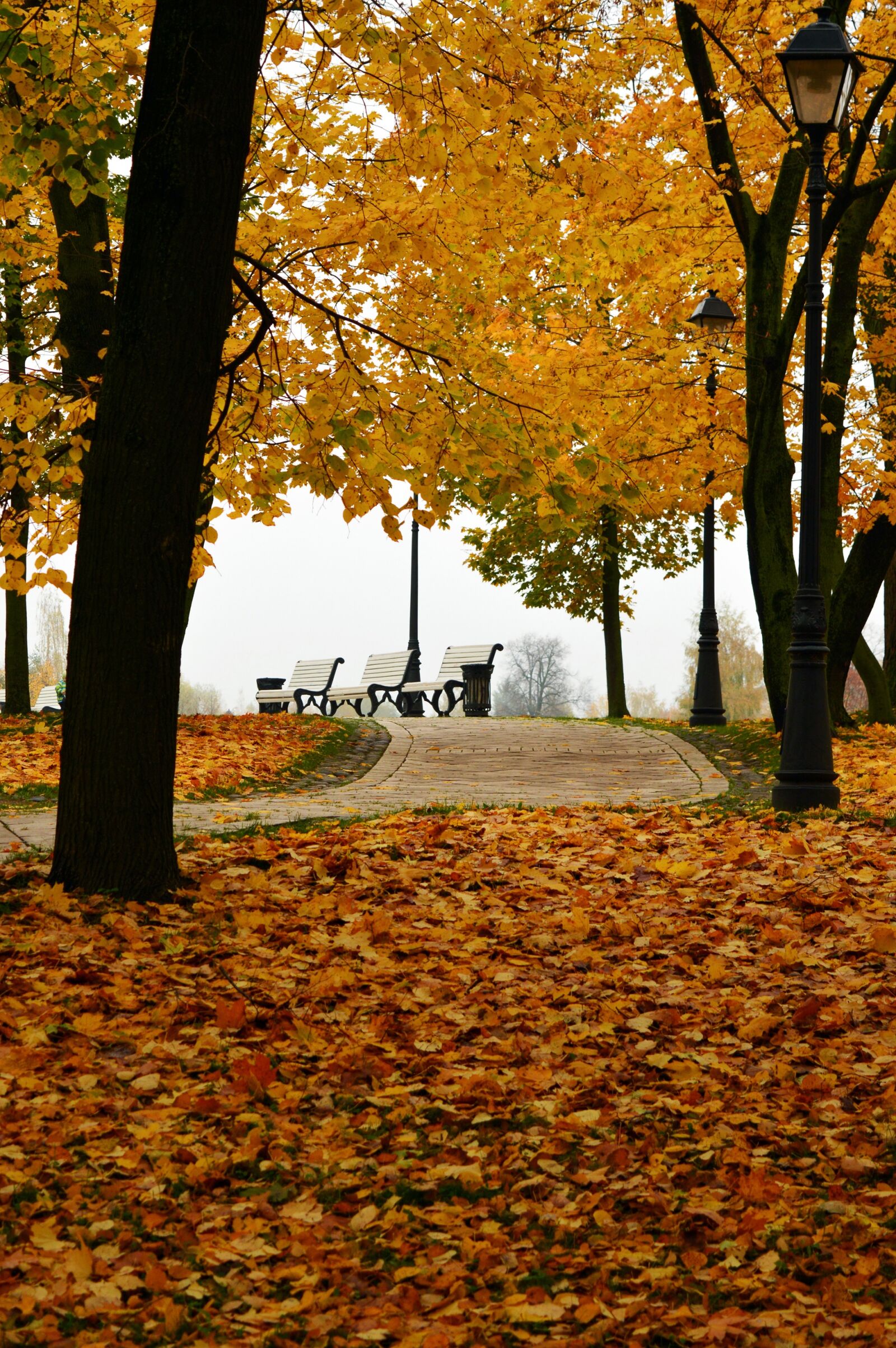 Nikon D3200 sample photo. Autumn in the park photography
