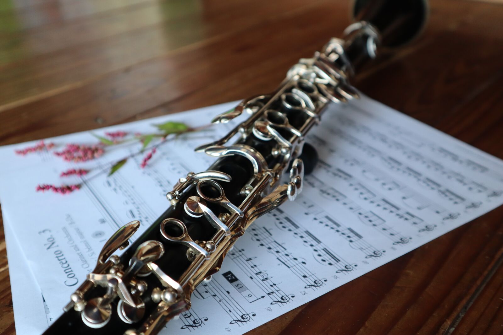 Canon EF-M 15-45mm F3.5-6.3 IS STM sample photo. Clarinet, music, instrument photography