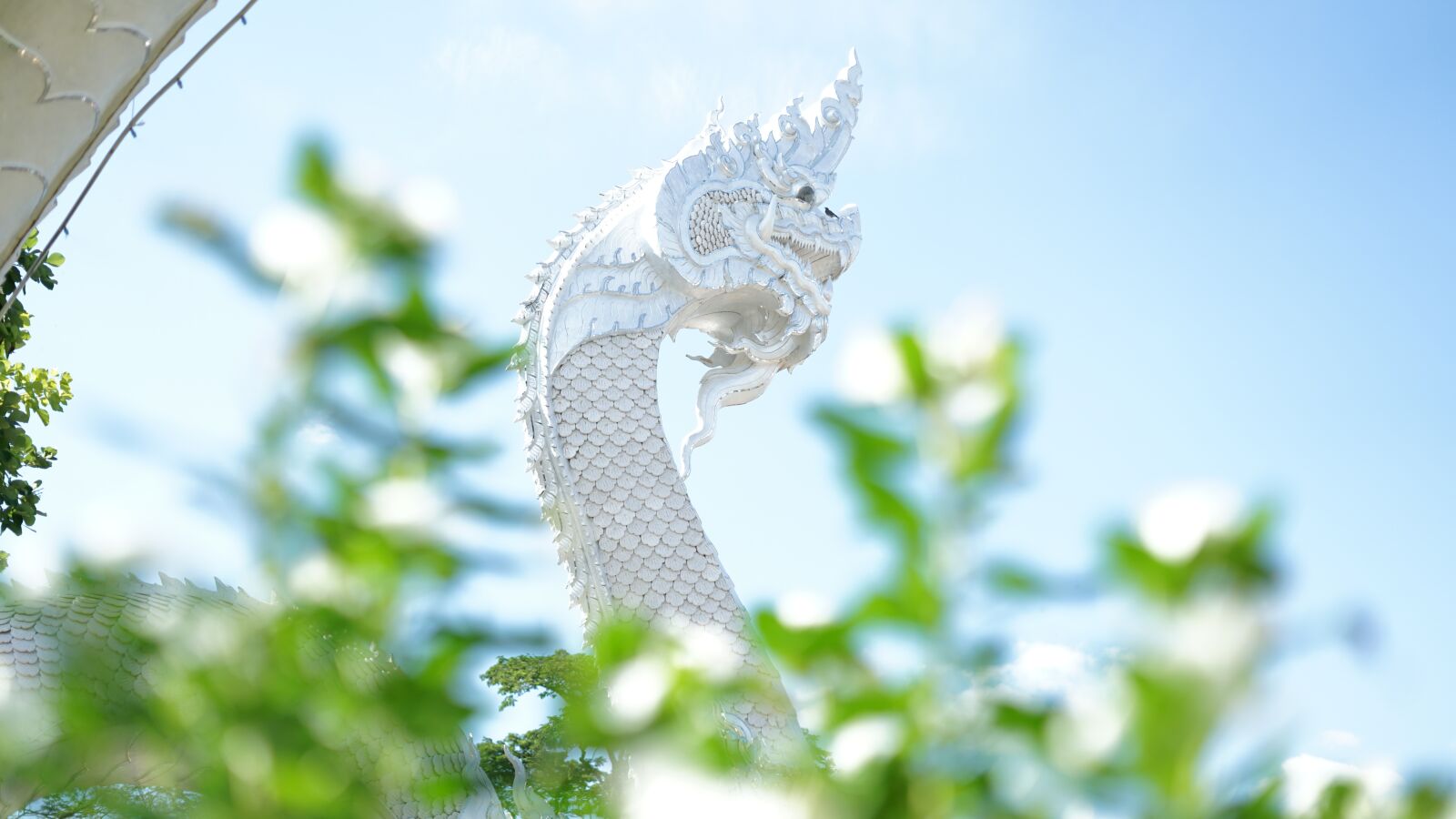 Sony FE 50mm F1.8 sample photo. Serpent, travel, thailand photography