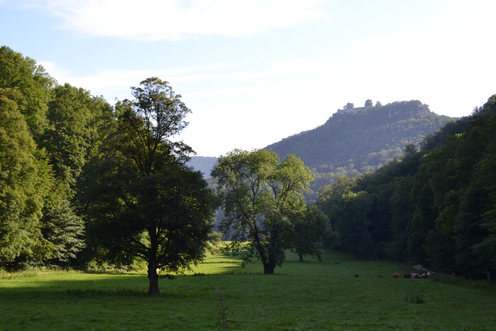 Nikon D3100 sample photo. Meadow, tree, hill photography