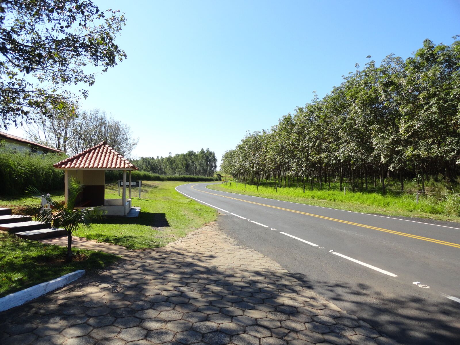 Sony Cyber-shot DSC-H70 sample photo. Road, highway, path photography