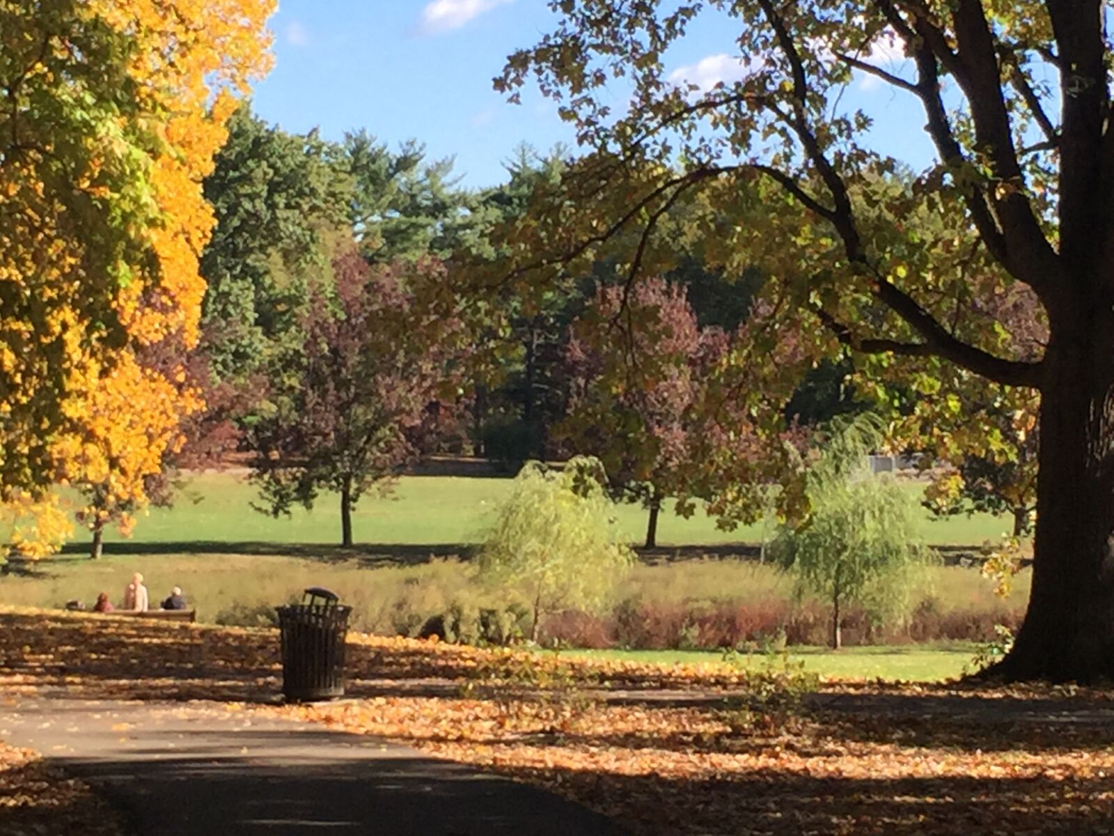 iPhone 6 Plus back camera 4.15mm f/2.2 sample photo. City, park photography
