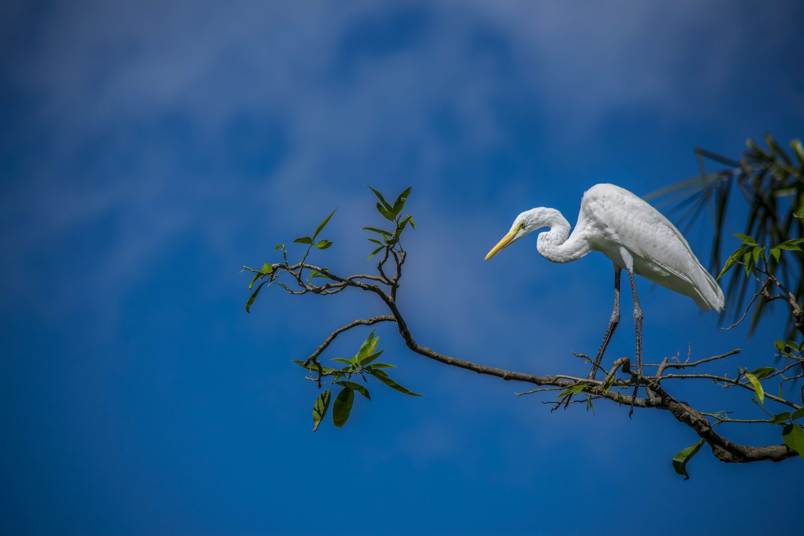 Nikon D5300 sample photo. Nature, life, peace photography