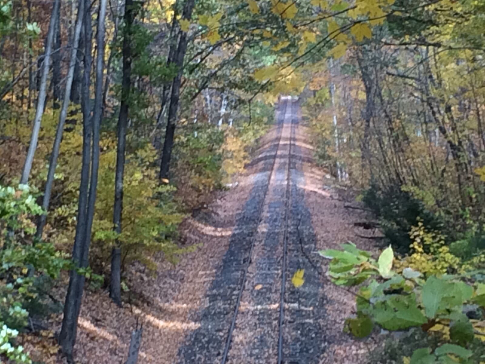 iPhone 5s back camera 4.15mm f/2.2 sample photo. Woodland, railroad tracks, railway photography
