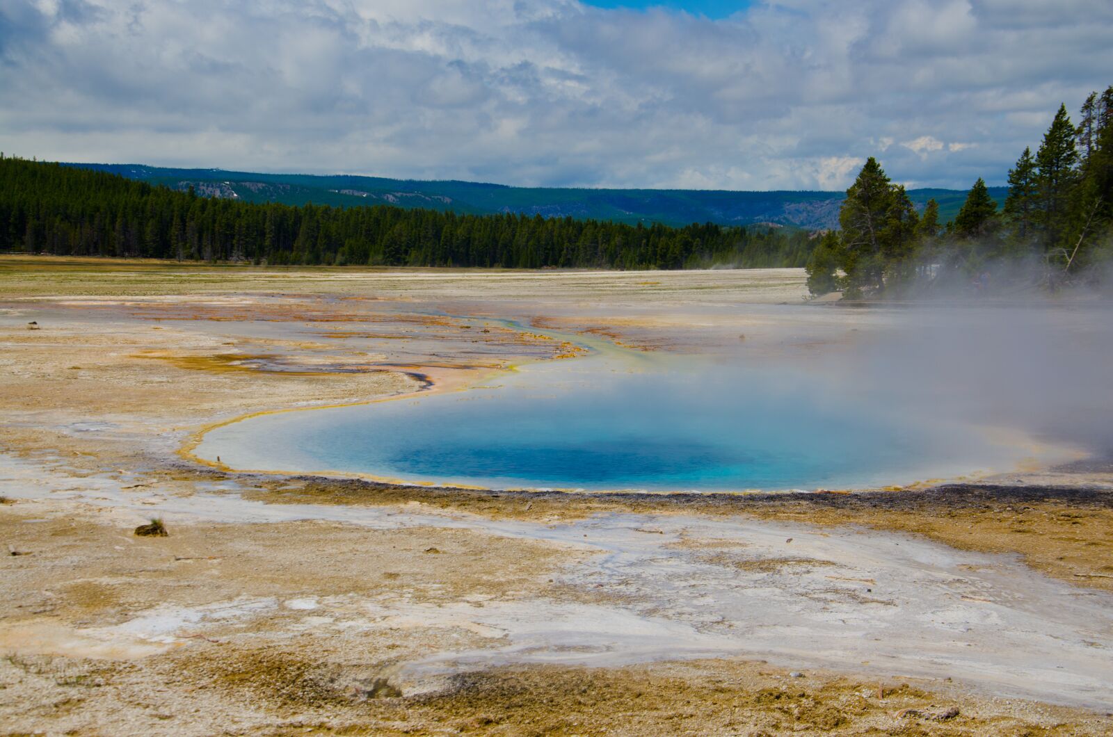 Nikon D7000 sample photo. Yellow stone, scenic, nature photography