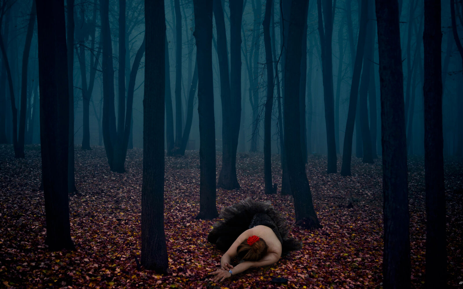 Sony Alpha DSLR-A300 sample photo. Dark, forest photography