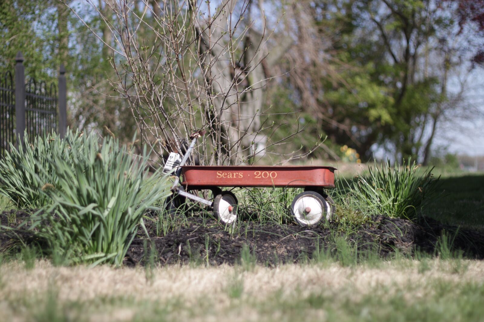 Canon EOS 500D (EOS Rebel T1i / EOS Kiss X3) sample photo. Wagon, garden, old photography