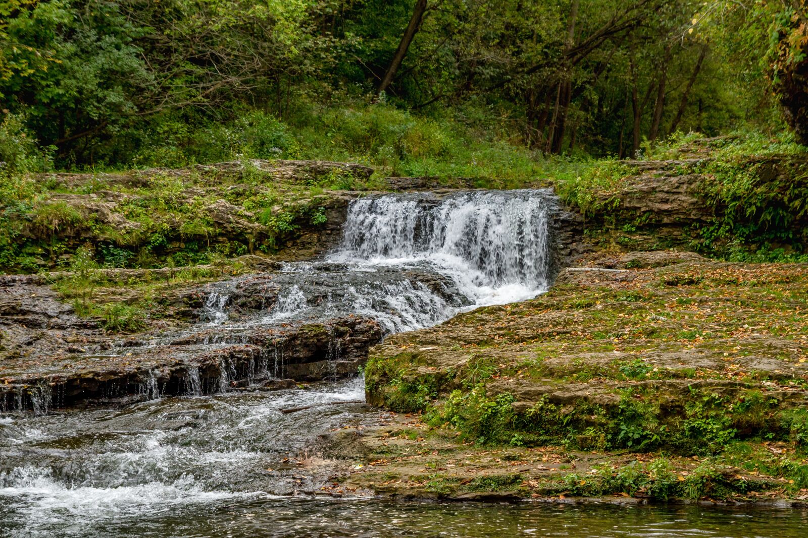 Canon EOS 7D sample photo. Nature, grass, landscape photography