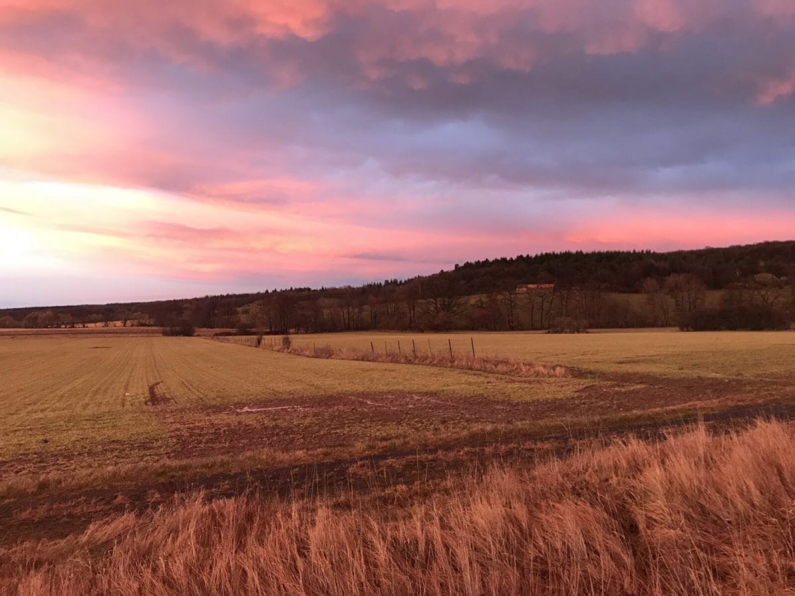 Apple iPhone 7 sample photo. Agriculture, cloud, field, sunset photography