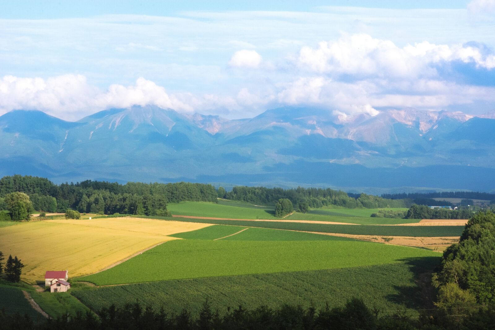 Nikon D7100 sample photo. Japan, hokkaido, biei photography