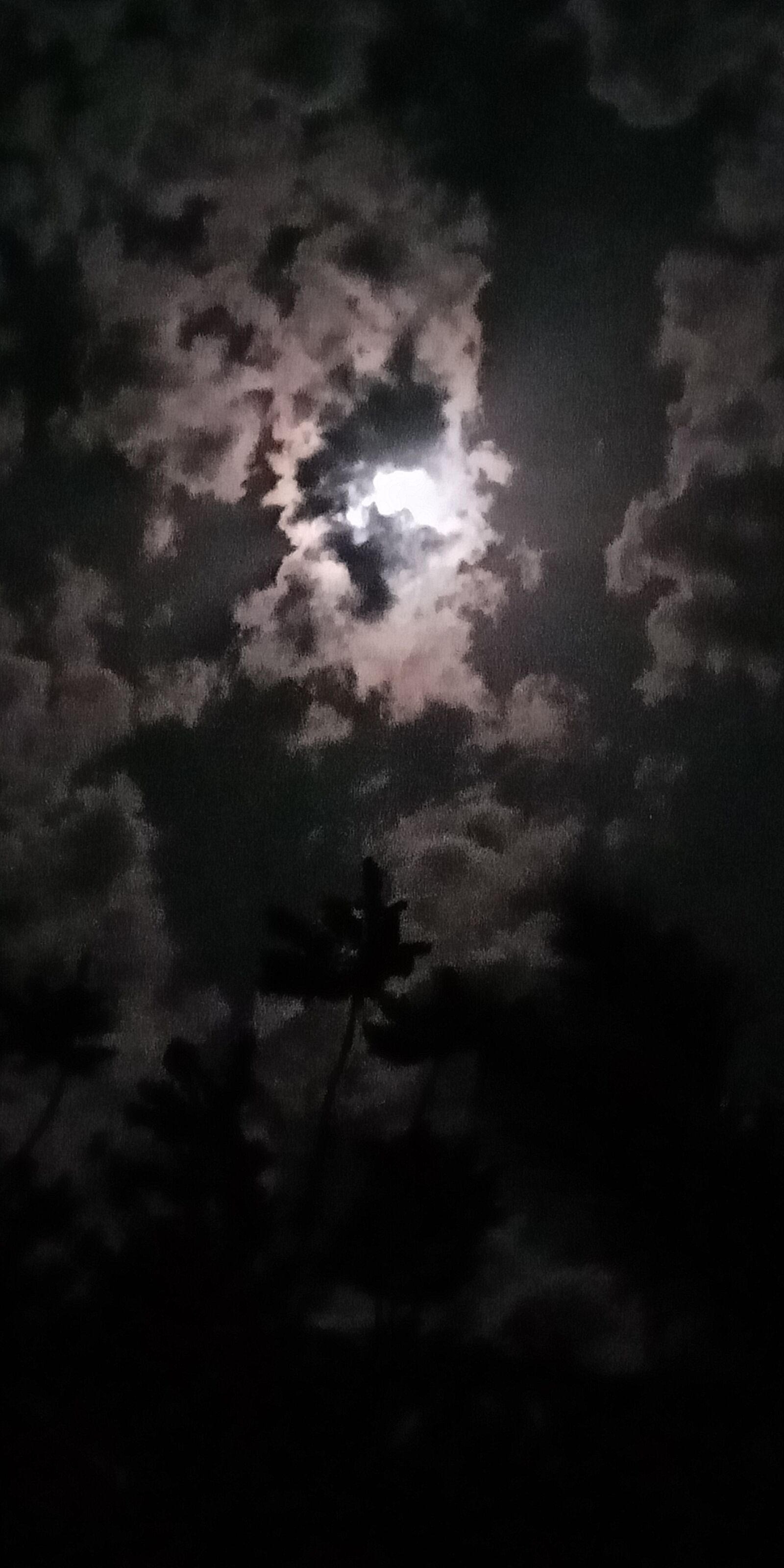 OPPO A83 sample photo. Moon, clouds, nature photography