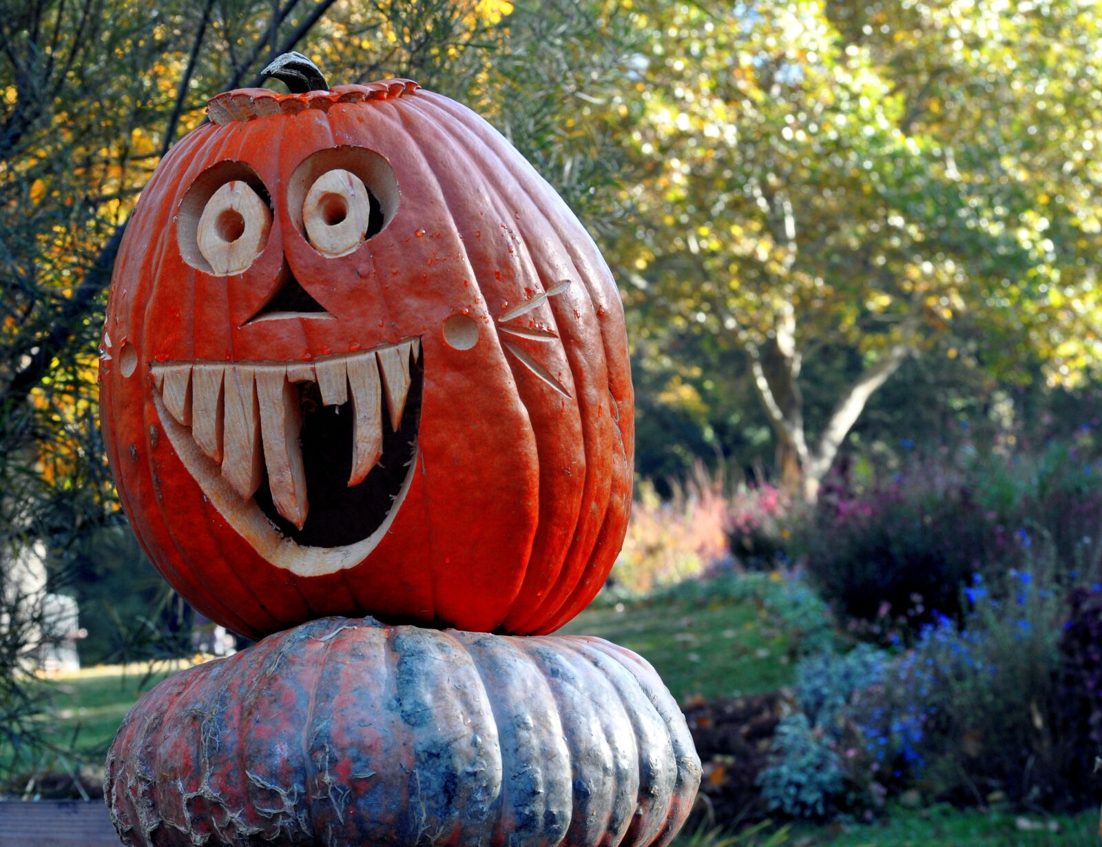 Nikon D5000 sample photo. Pumpkin, sculpture, art photography