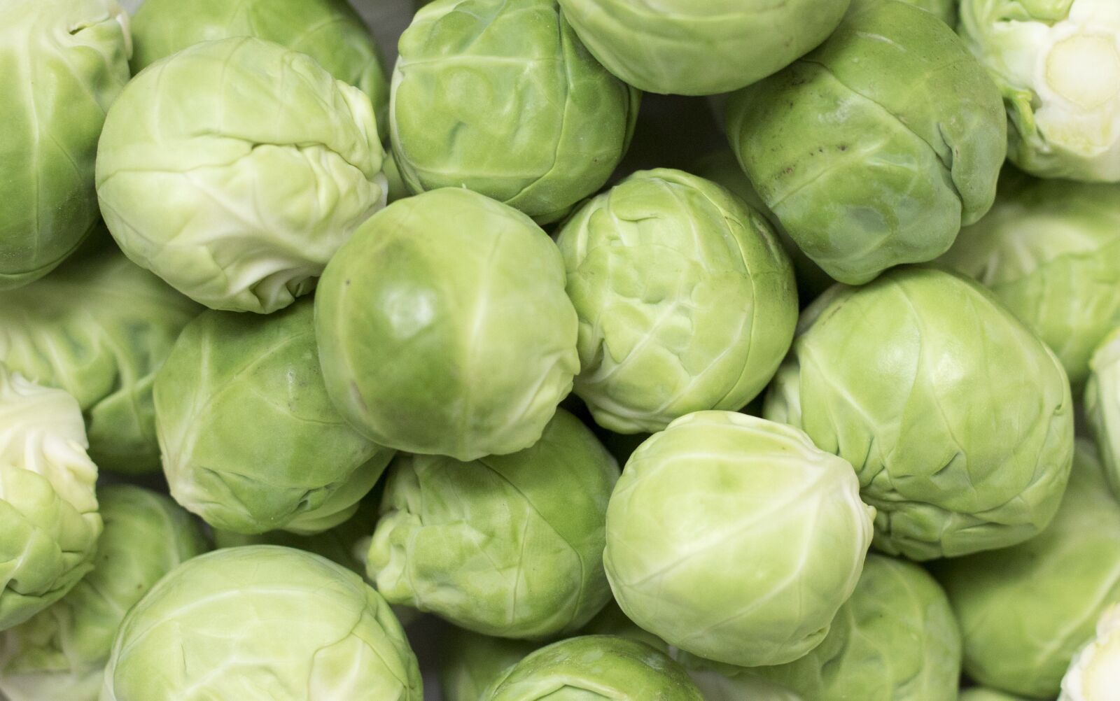 Canon EOS 750D (EOS Rebel T6i / EOS Kiss X8i) sample photo. Brussels sprouts, brussels carbon photography