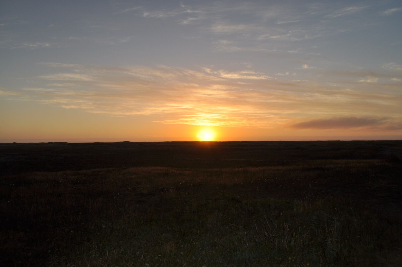 Nikon D5000 sample photo. Sunset, spring, landscape photography