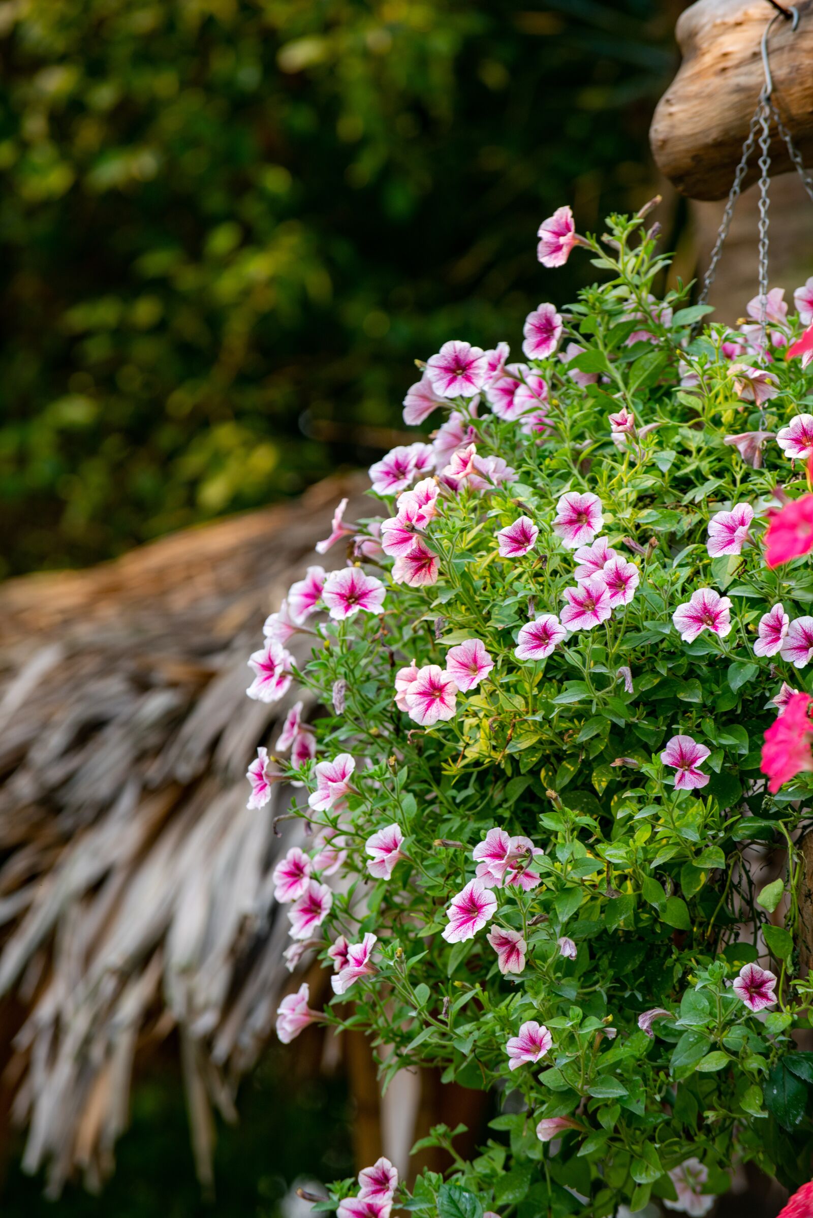 Nikon D810 sample photo. Flower, nest workshop, tree photography