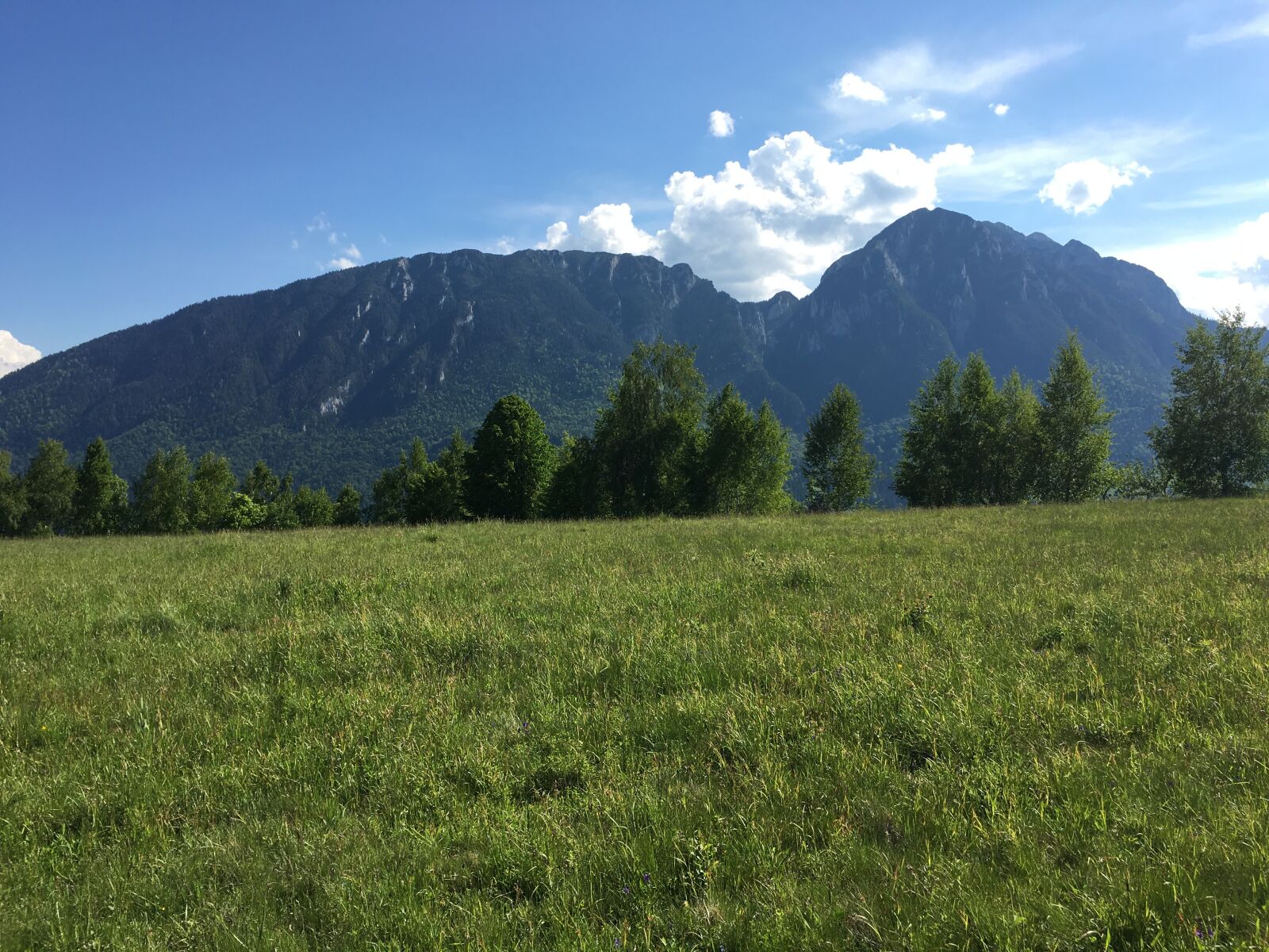 Apple iPhone 6s sample photo. Romanian mountains, green, summer photography