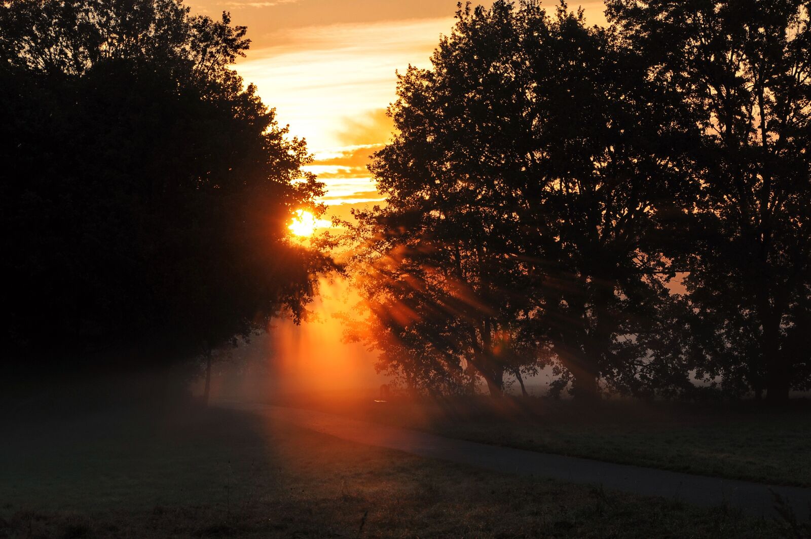 Nikon D300 sample photo. Autumn, dawn, backlighting photography