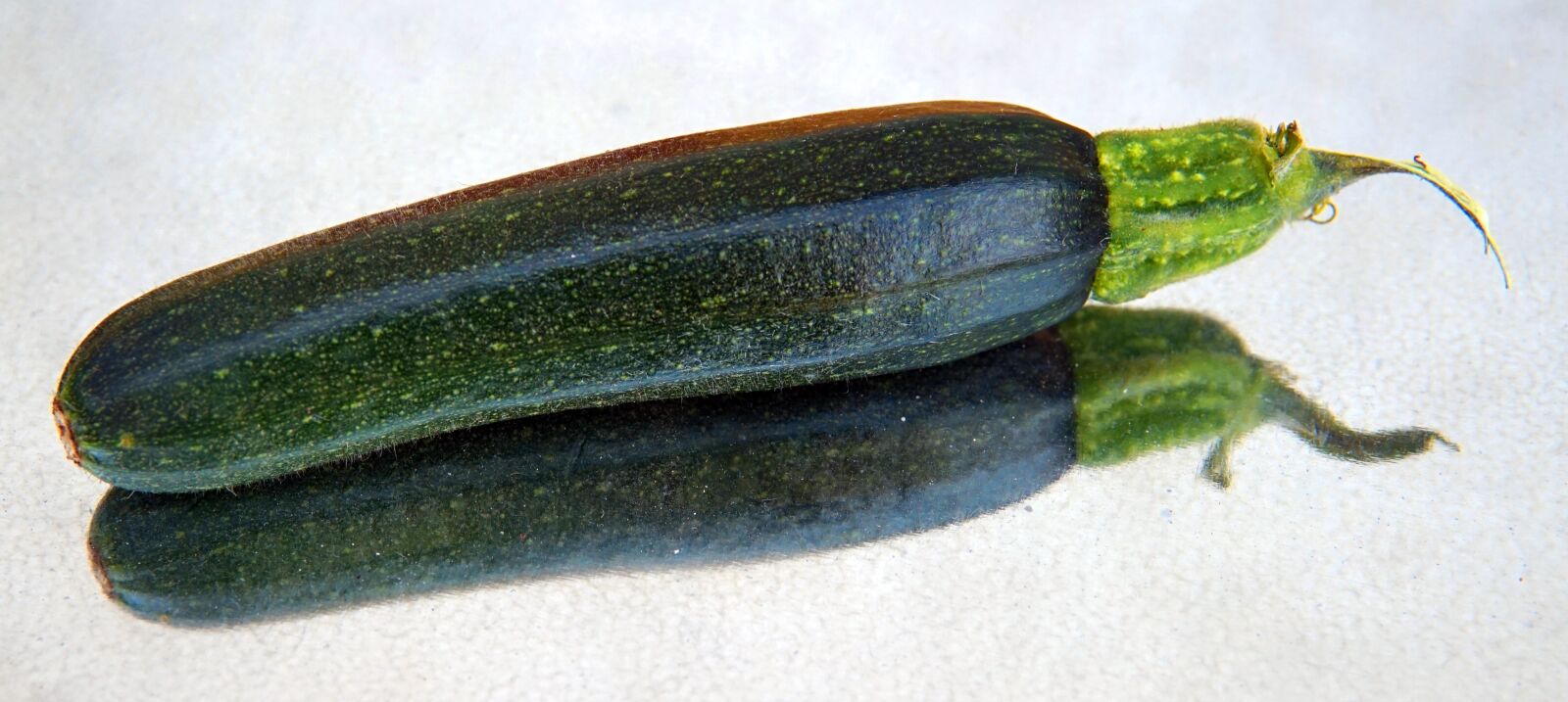 Sigma 30mm F1.4 DC DN | C sample photo. Zucchini, small, vegetables photography