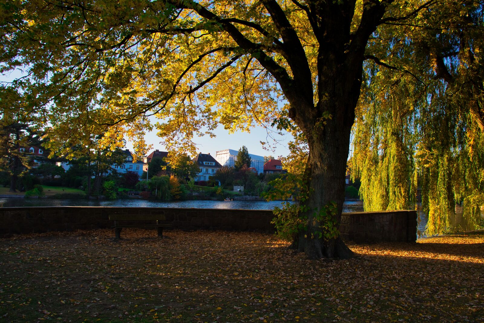 Canon EOS 200D (EOS Rebel SL2 / EOS Kiss X9) sample photo. Alster, hamburg, sunset photography