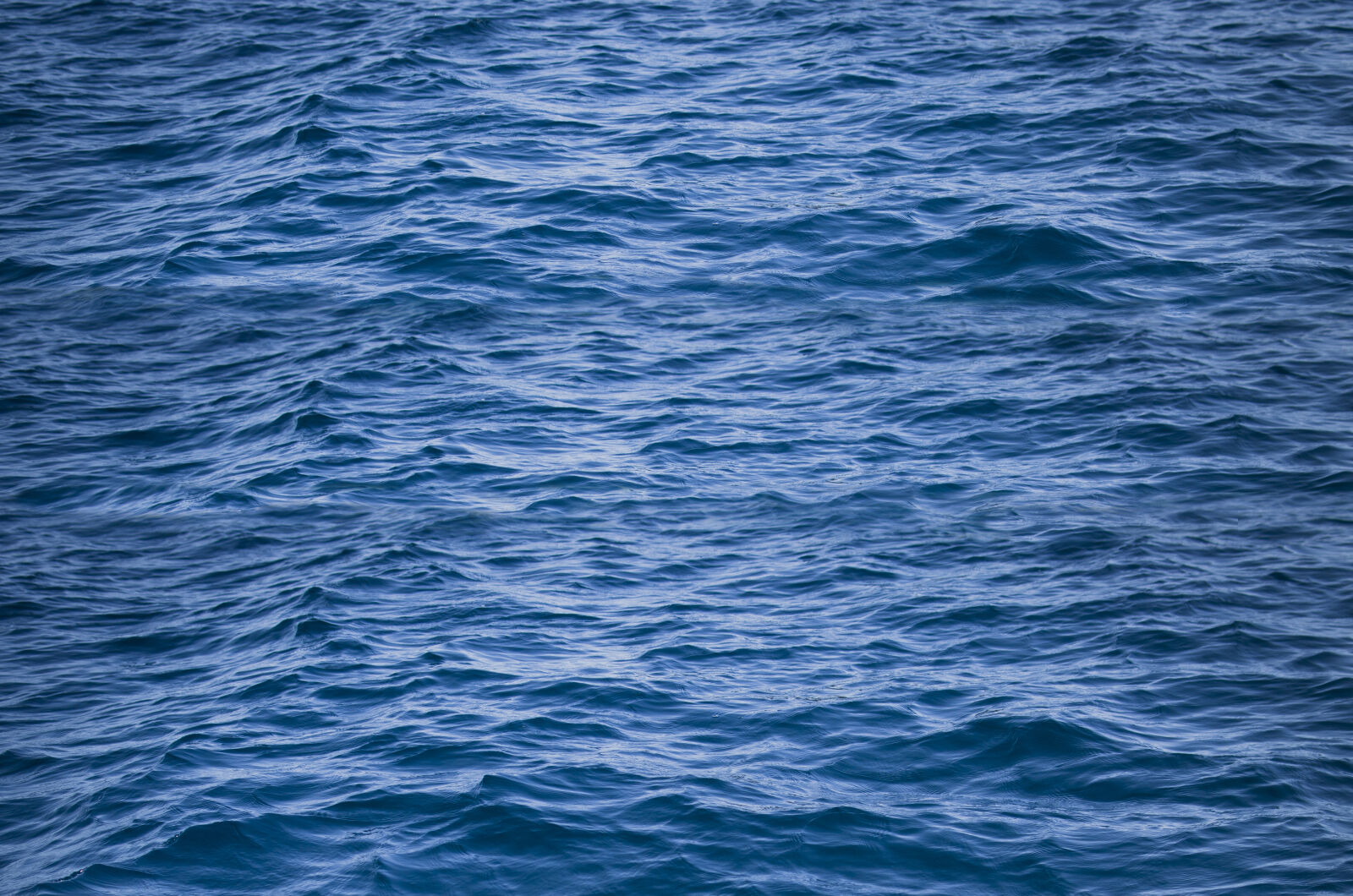 Nikon D5100 + Nikon AF-S DX Nikkor 35mm F1.8G sample photo. Aqua, blue, close, up photography