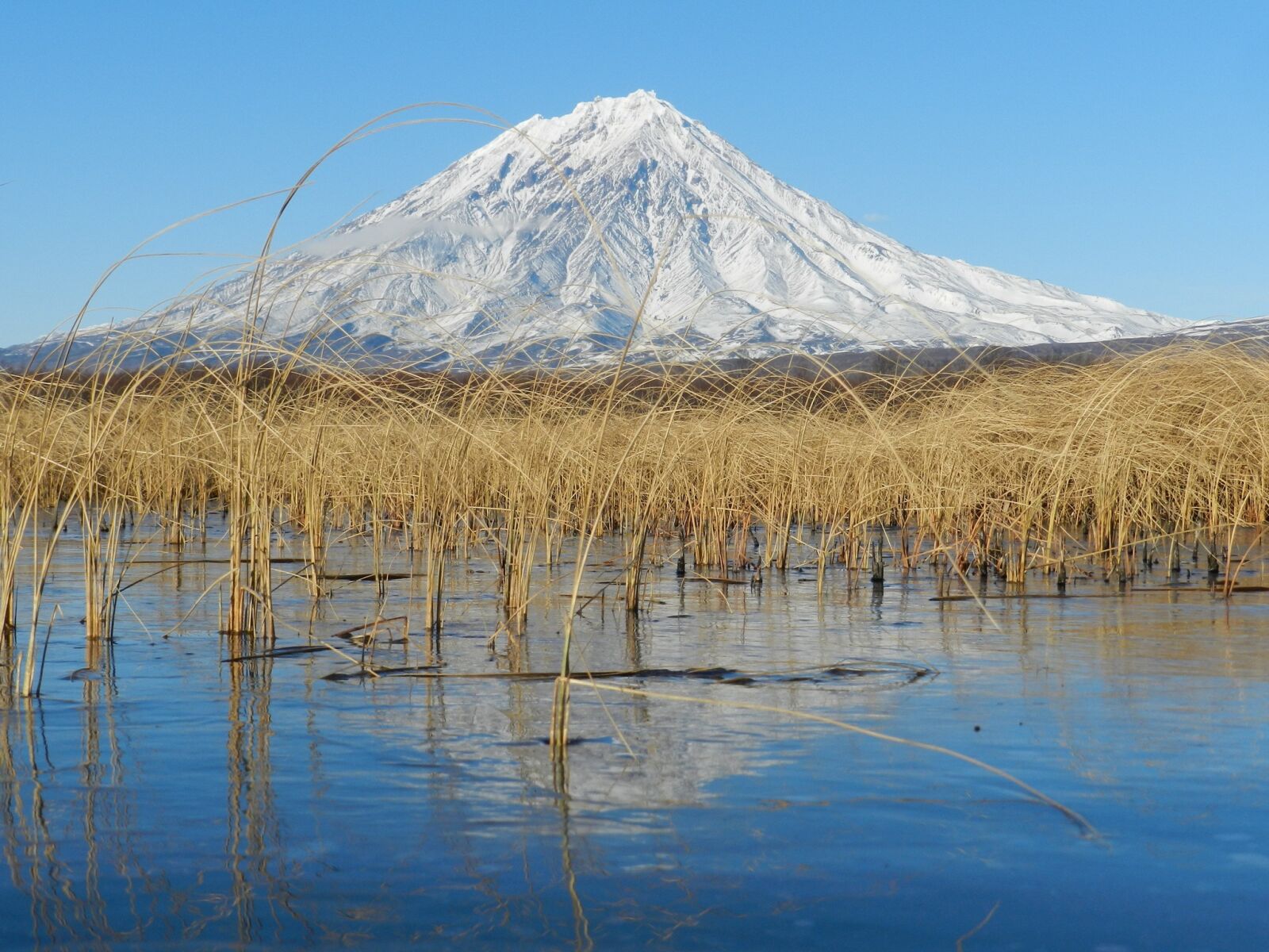 Nikon Coolpix P500 sample photo. Koryaksky volcano, kamchatka, autumn photography