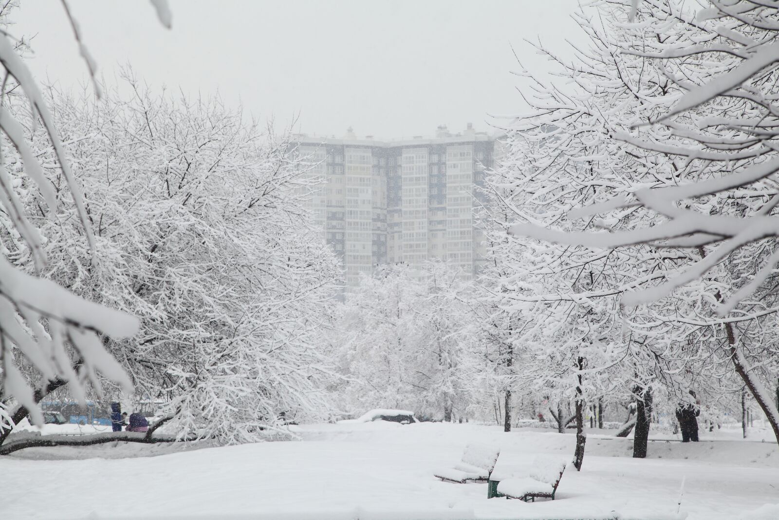 Canon EOS 5D Mark II sample photo. Russian winter, white snow photography