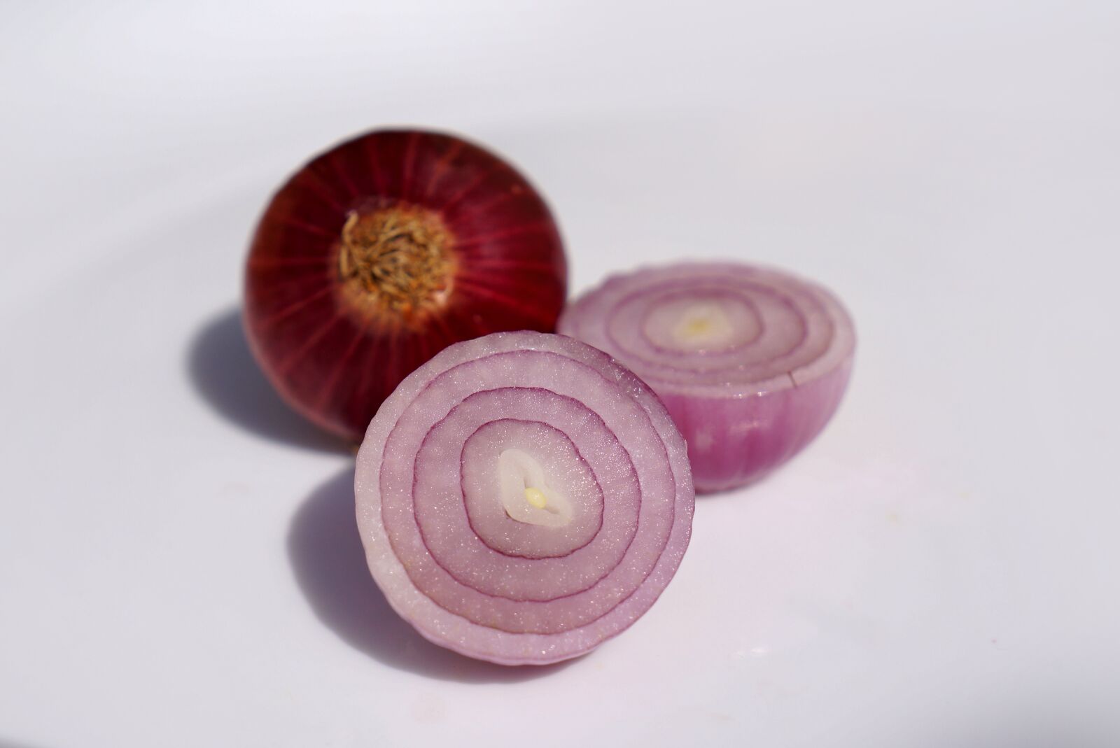 Sony Alpha NEX-F3 + Sony E 18-55mm F3.5-5.6 OSS sample photo. Spices, onion, purple photography