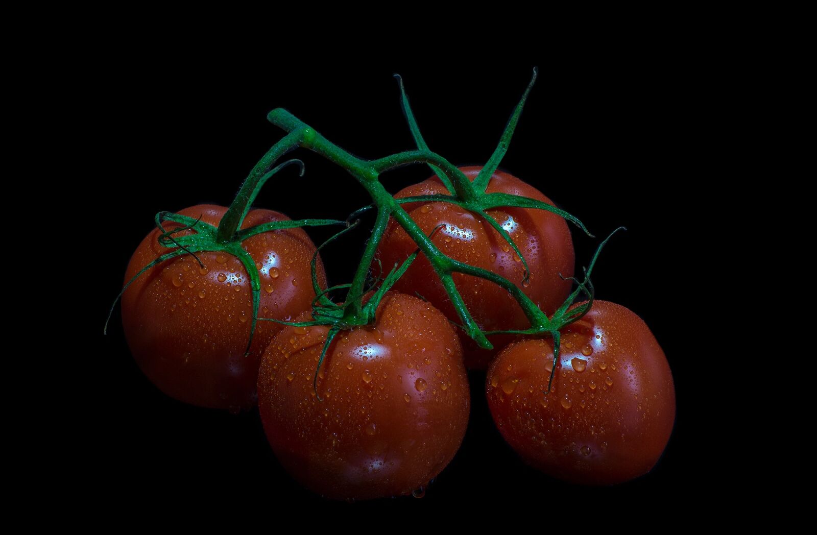 Sony SLT-A77 sample photo. Tomatoes, fruits, fruit photography