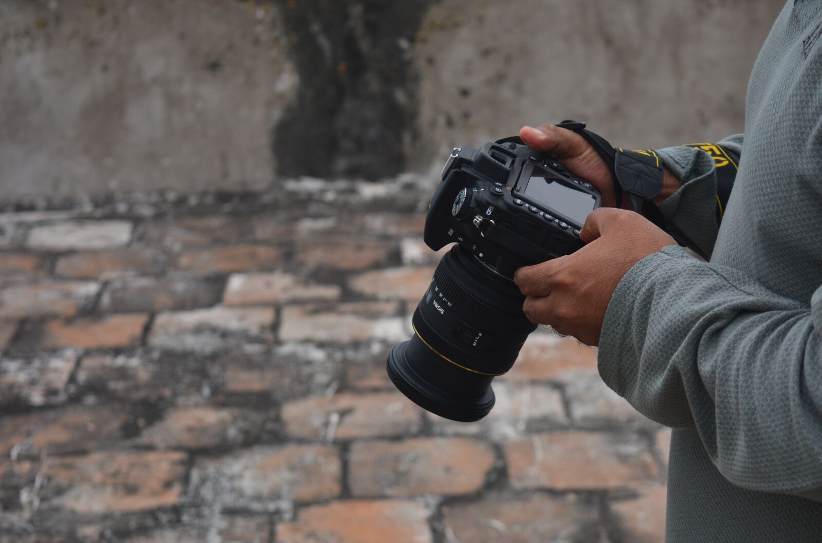 Nikon D5200 sample photo. Camera, settings, photo photography