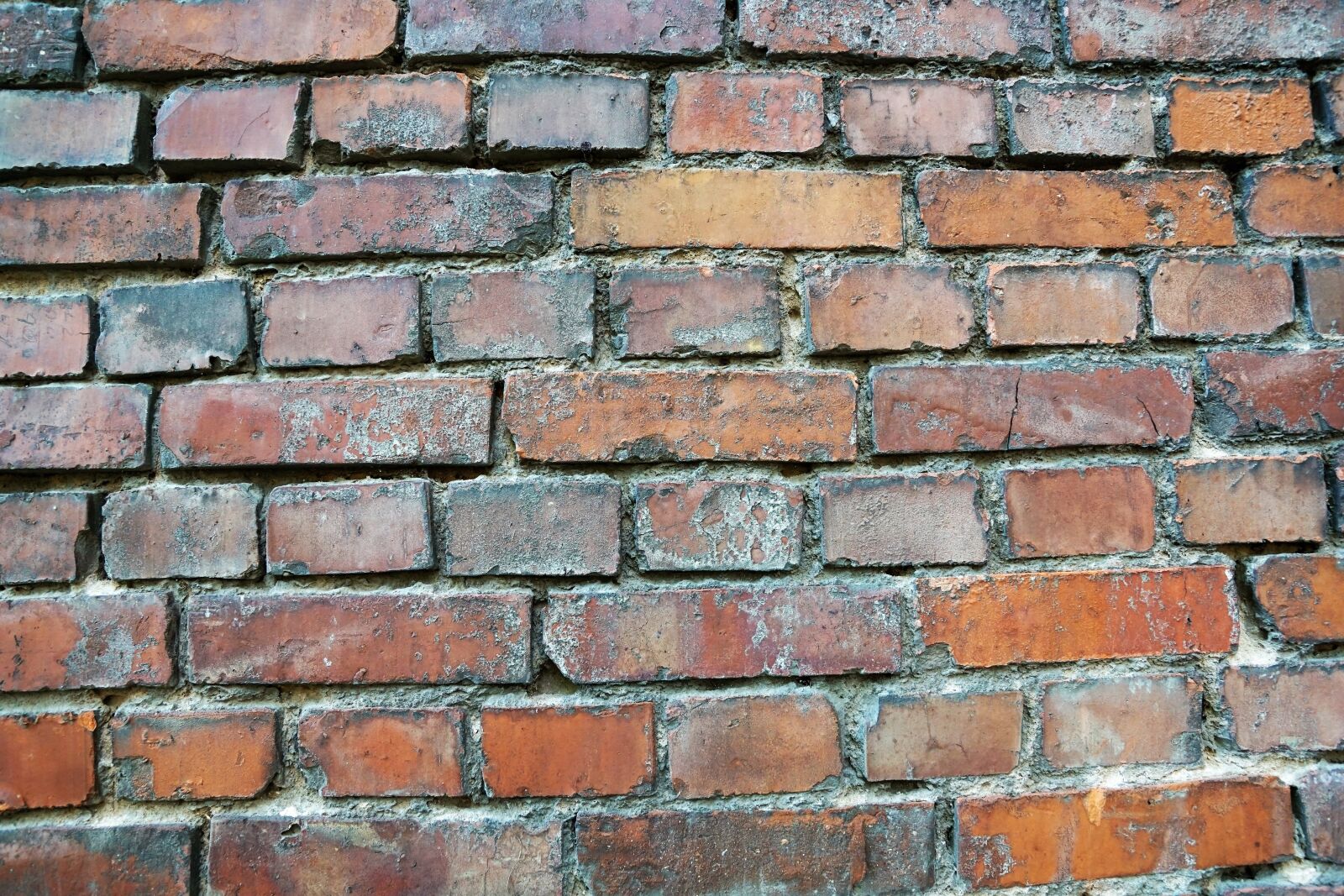 Sony DT 16-50mm F2.8 SSM sample photo. Bricks, wall, texture photography