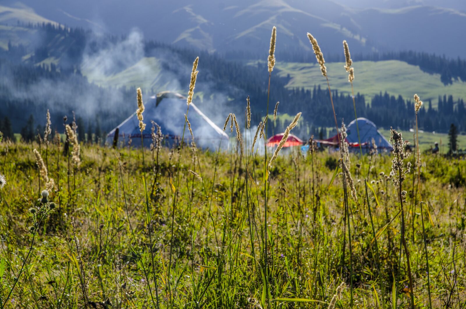 Nikon D7000 sample photo. Steppe, yurt, mountain photography