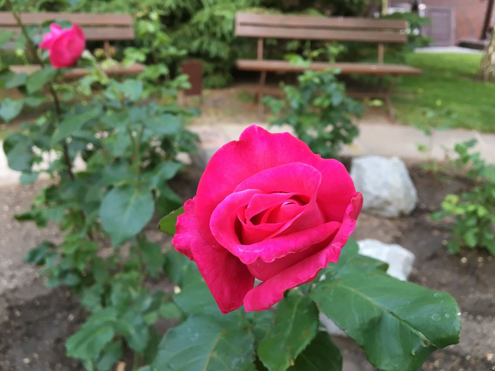 Apple iPhone 6s sample photo. Nature, sea, beach photography