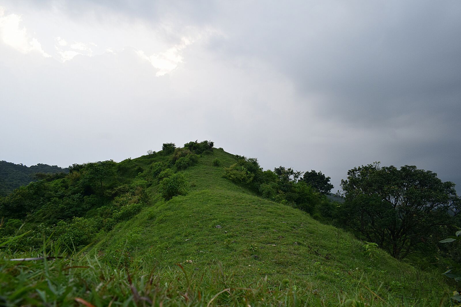 Nikon D3300 sample photo. Green, hill, greenery photography