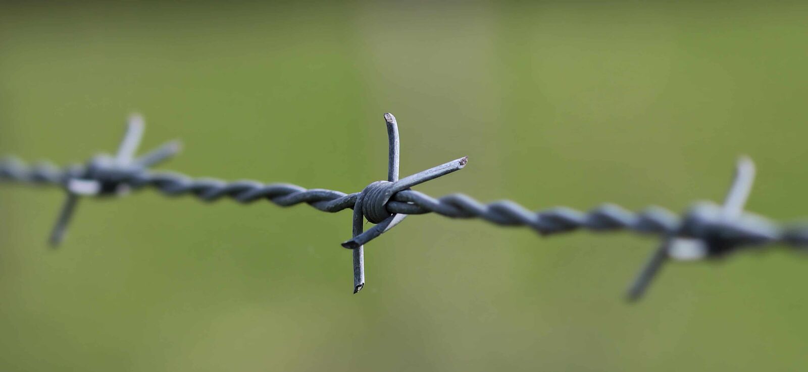 Canon EOS 80D sample photo. Security, barbed wire, iron photography