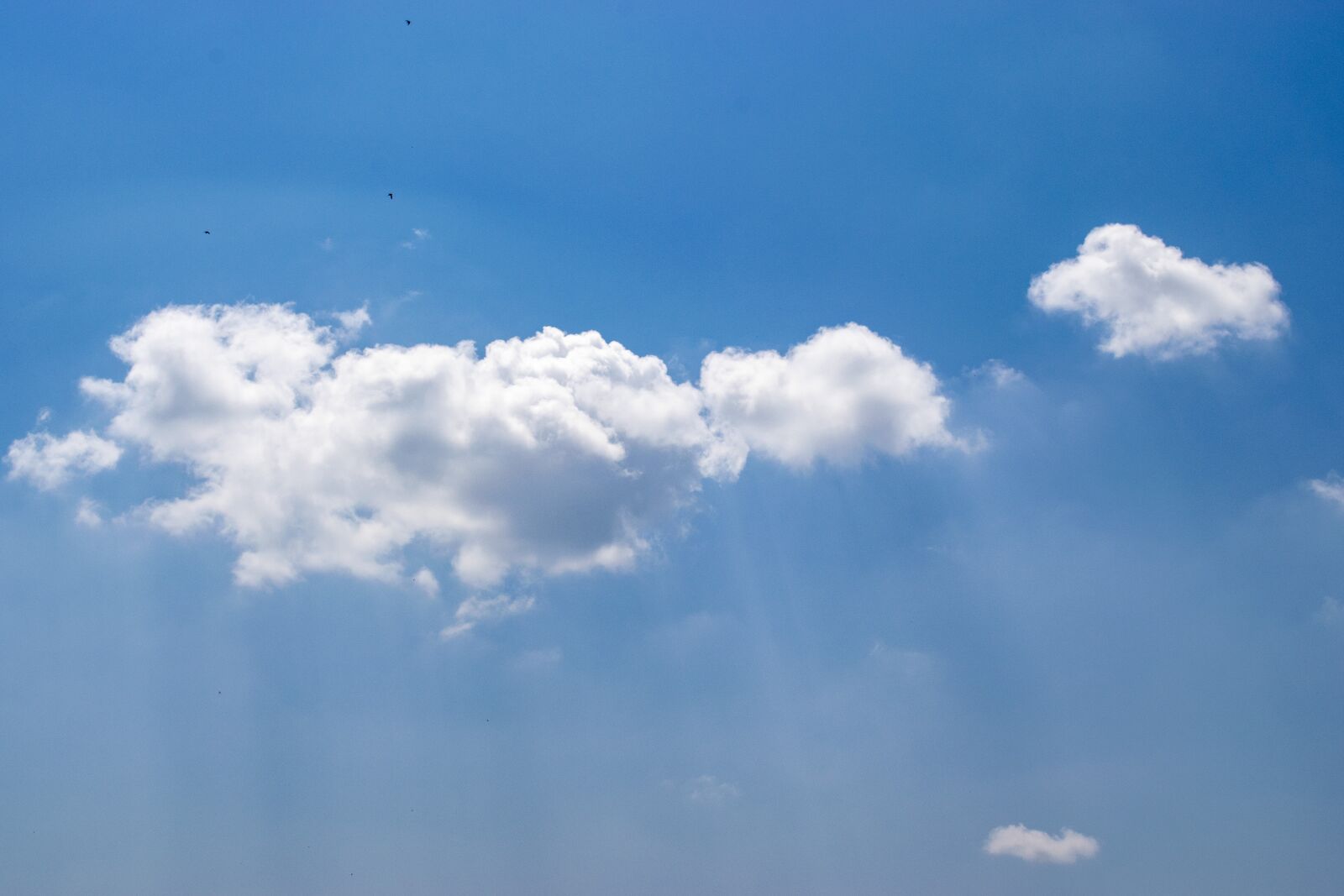 Nikon D3300 sample photo. Clouds, birds, sky photography