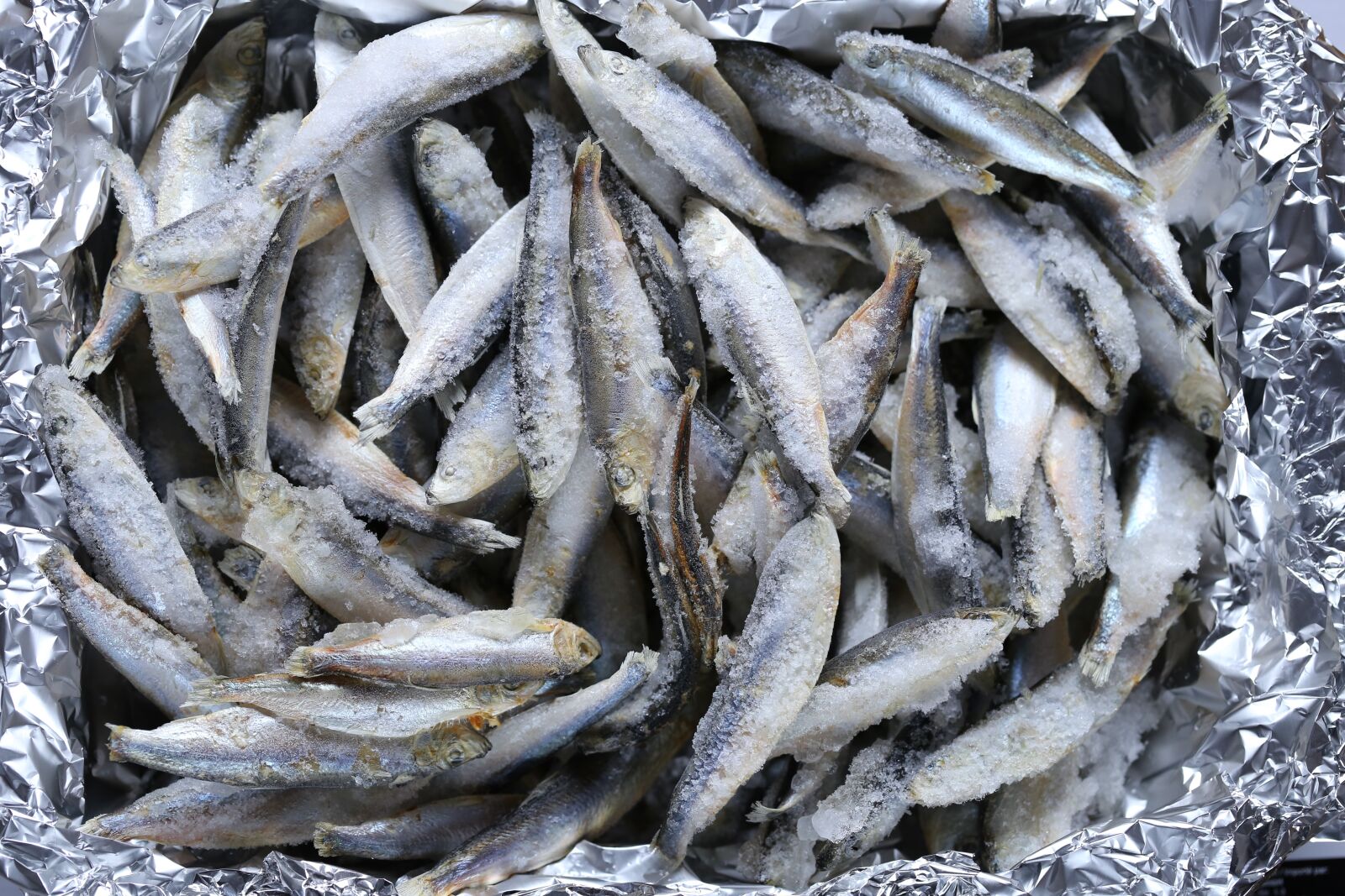 Canon EF 100mm F2.8L Macro IS USM sample photo. Seafood, nature, fish photography