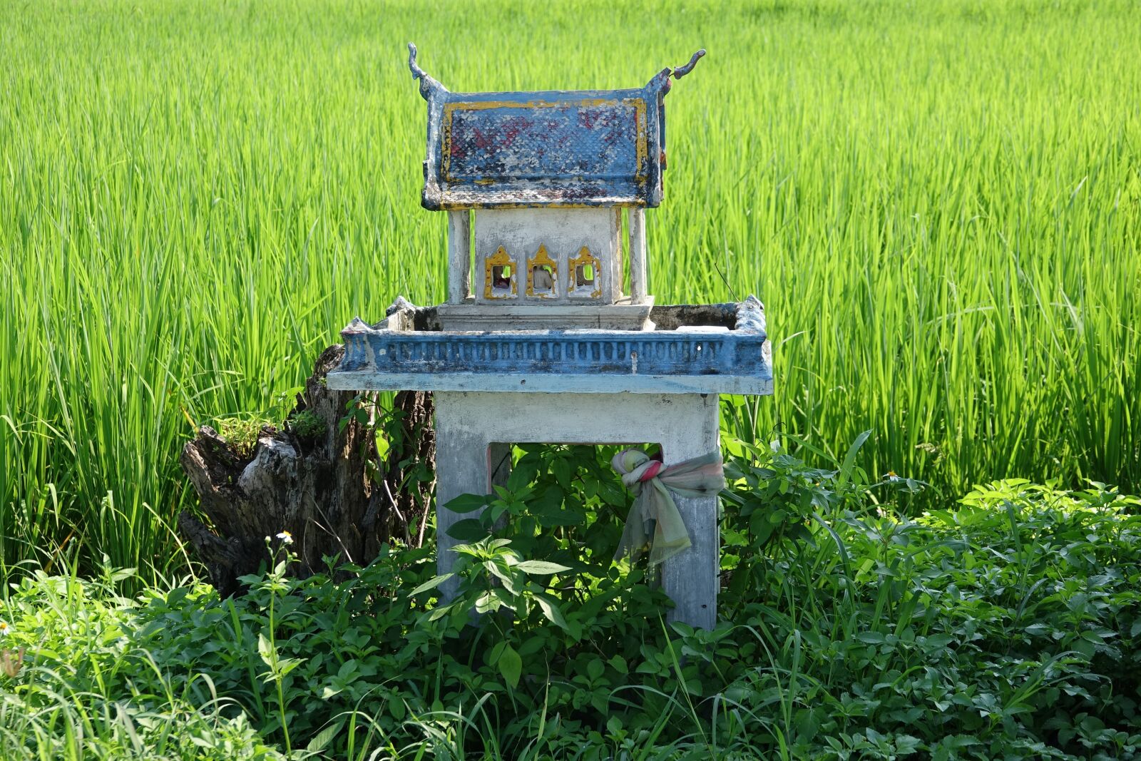 Sony Cyber-shot DSC-RX10 III sample photo. Temple, rice field, thailand photography